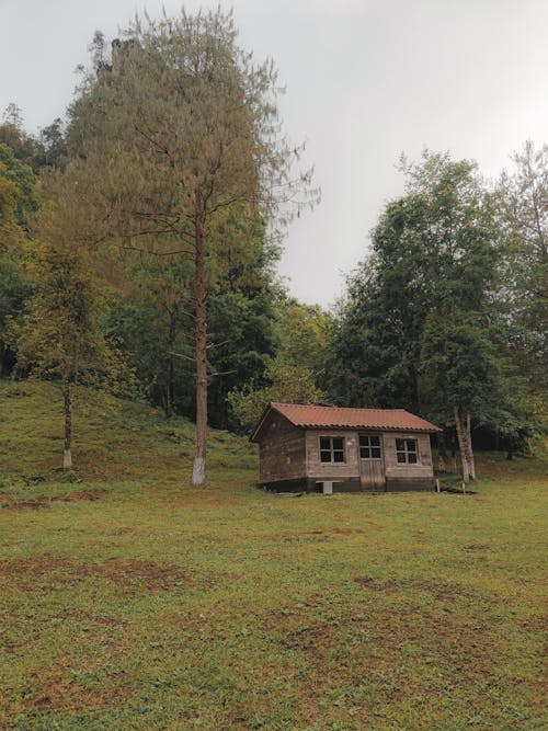 Immagine gratuita di alberi, cabina, campagna