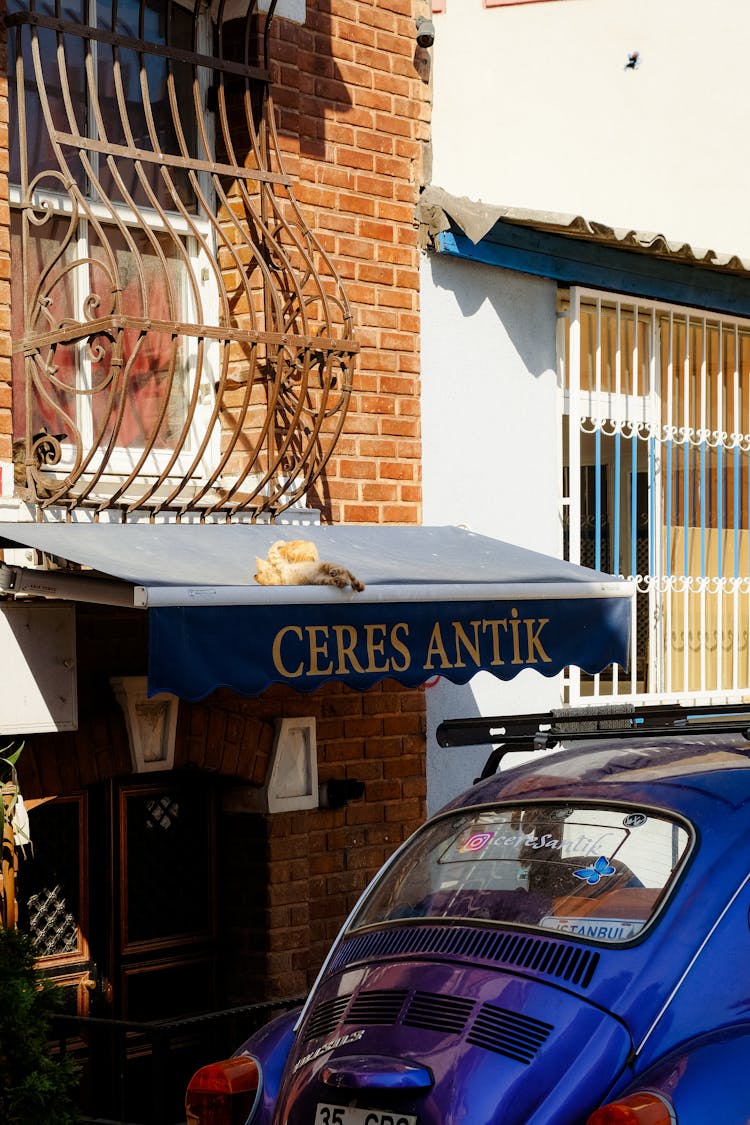 Blue Car Parked Beside A Canopy