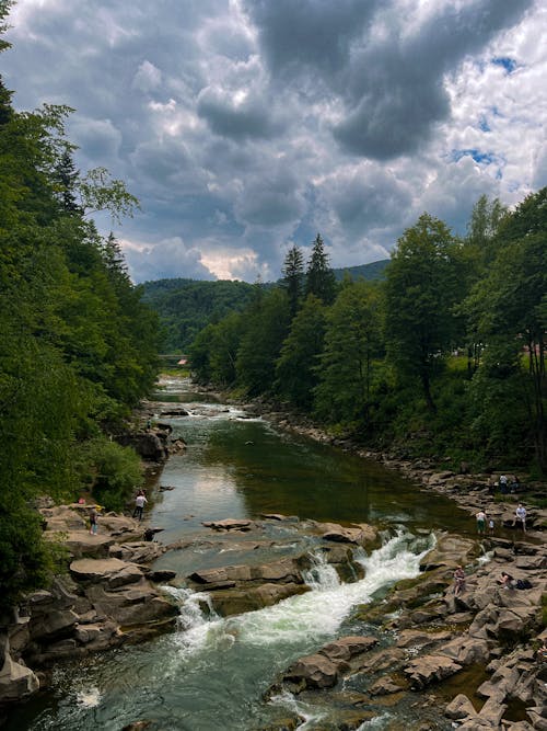 Foto profissional grátis de árvores, corrente, enseada