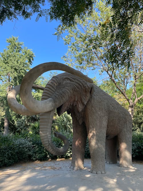 Kostnadsfri bild av anläggning, djurpark, elefant