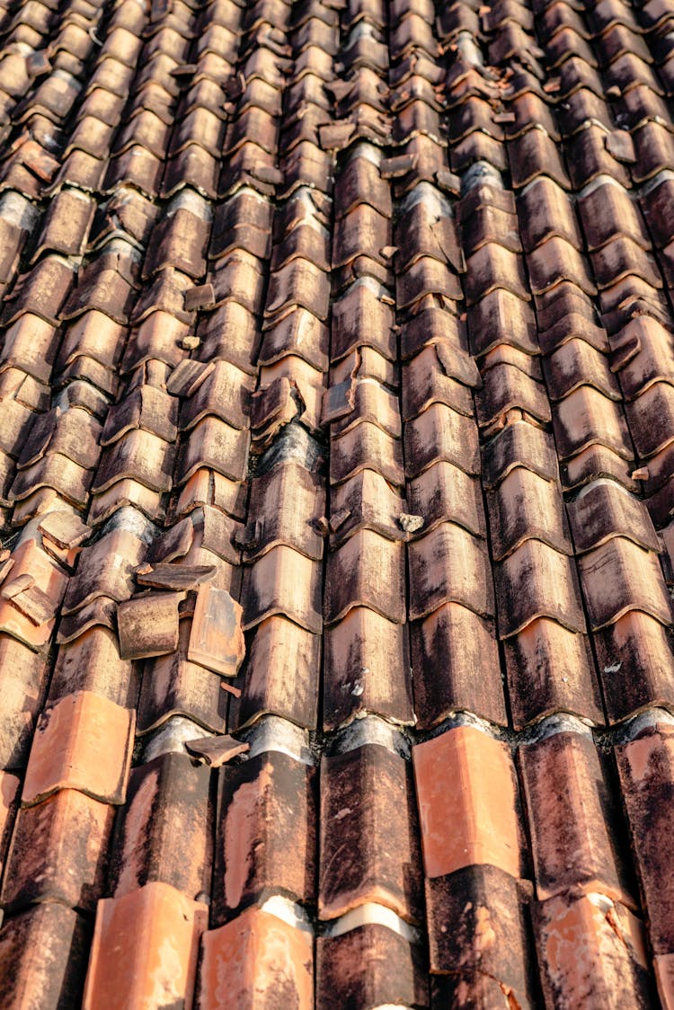 Damaged Rooftop Pattern