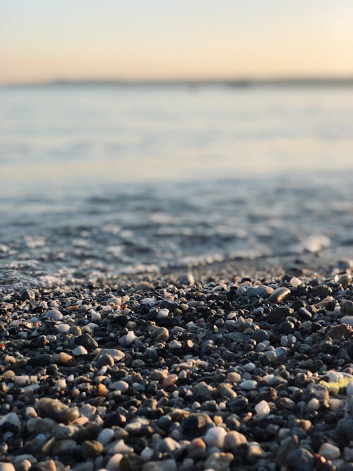 돌, 바다, 바위의 무료 스톡 사진