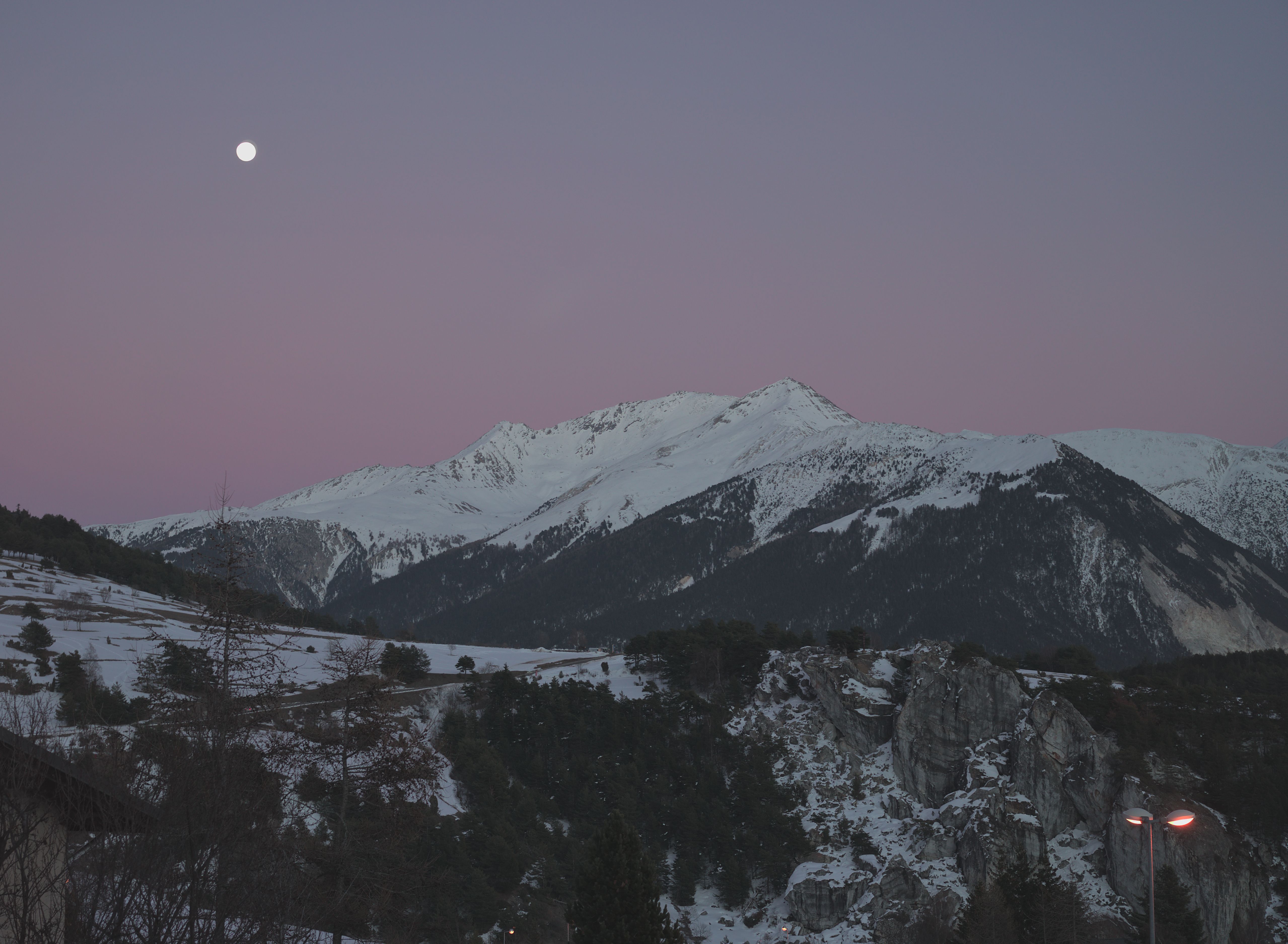 Moon In Winter In Trees Photos, Download The BEST Free Moon In Winter ...
