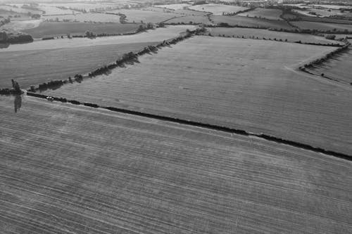 Landscape of Fields