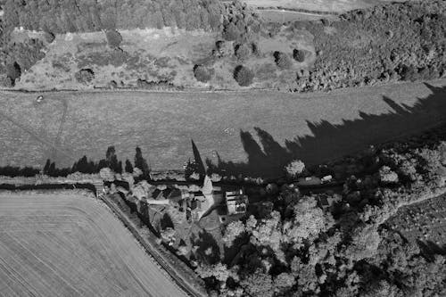 Darmowe zdjęcie z galerii z czarno-biały, drzewa, fotografia lotnicza