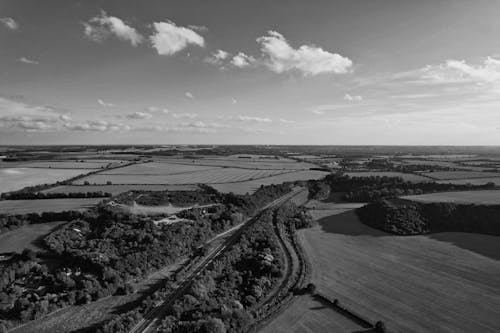 Grayscale Photo of Trees and Fields