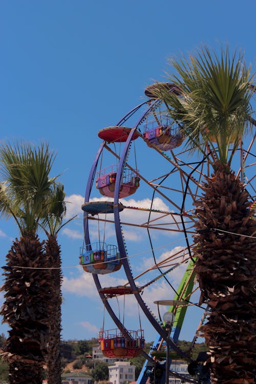 Green Palm Trees Near the Ferris Wheel 