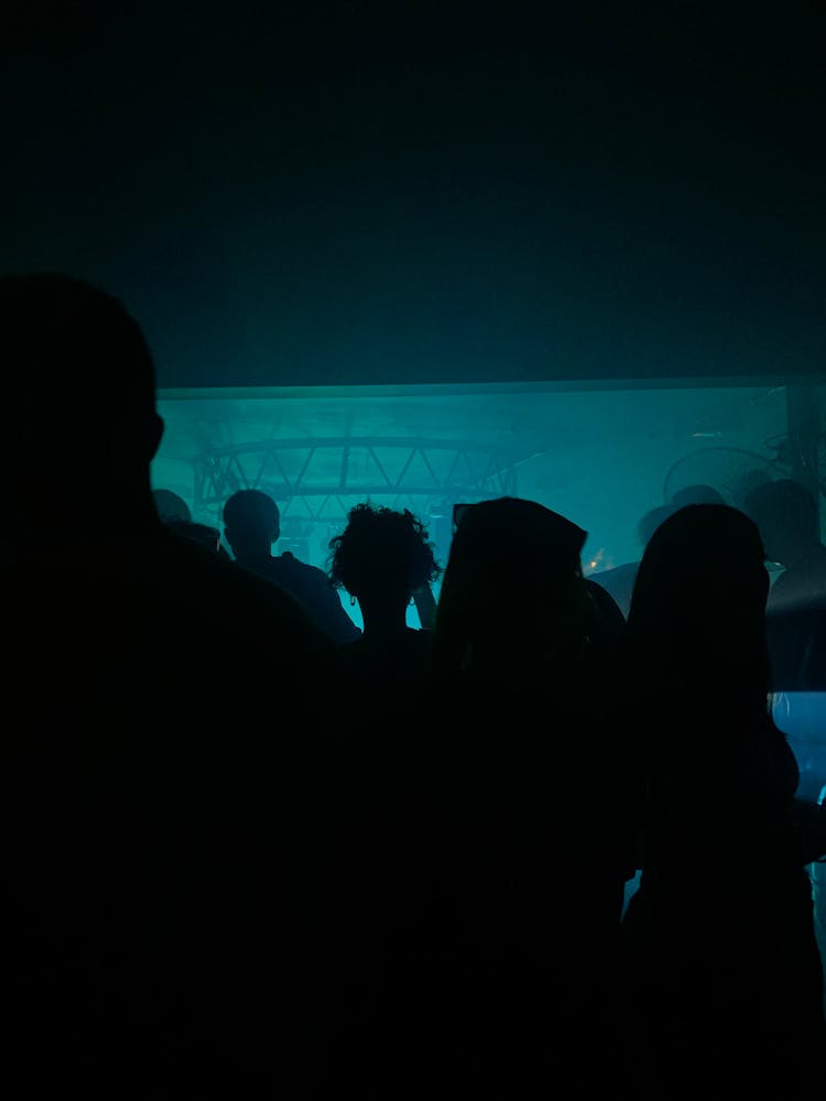 People Heads In Darkness On Concert