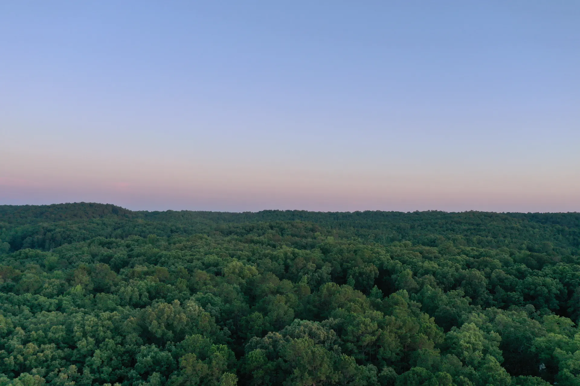 Talimena Scenic Drive: The Ultimate Ouachita Mountains Road Trip Guide