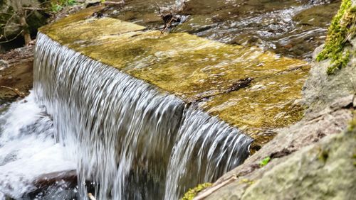 Free stock photo of nature beauty Stock Photo