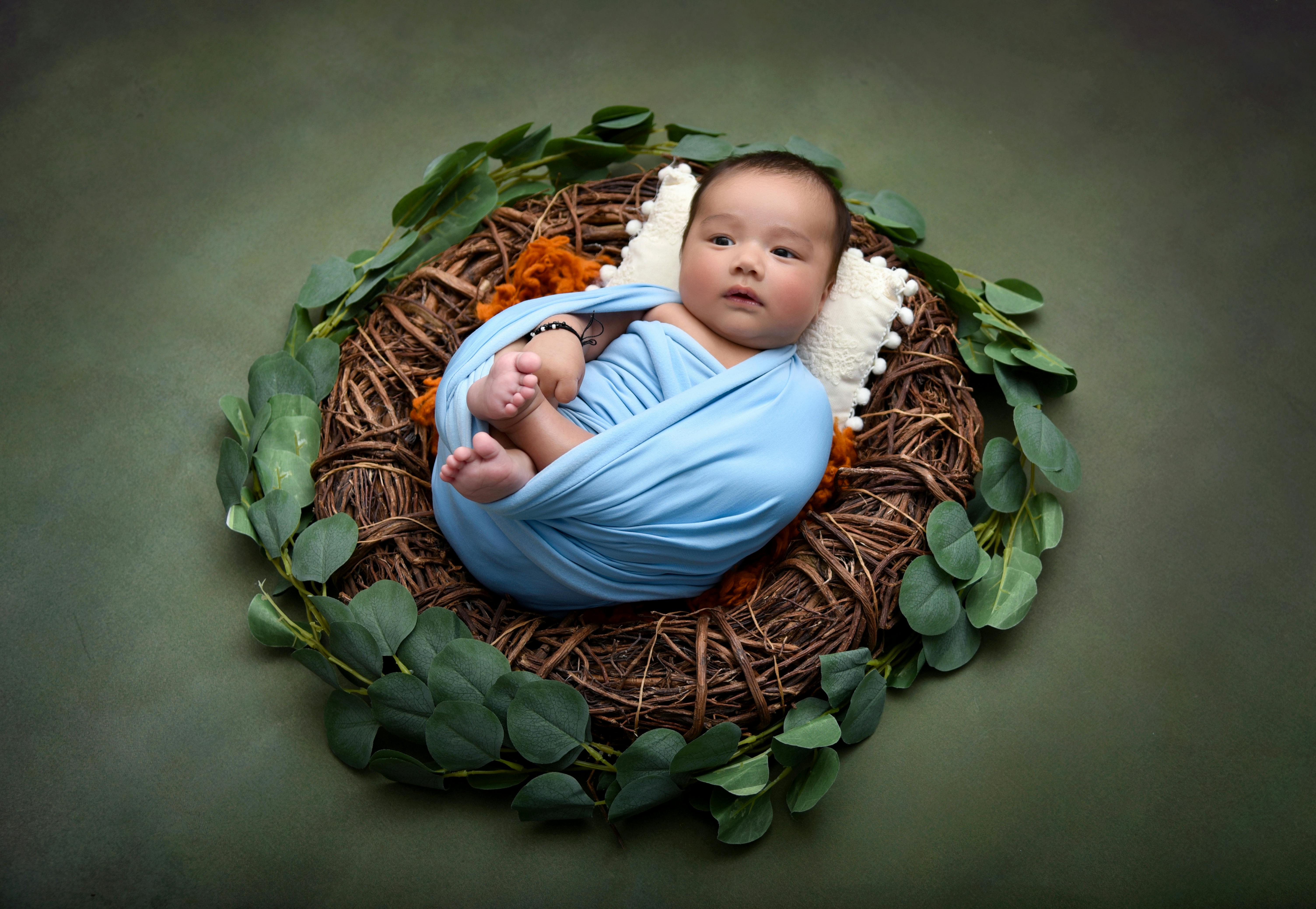 Baby Nest Photos, Download The BEST Free Baby Nest Stock Photos & HD Images