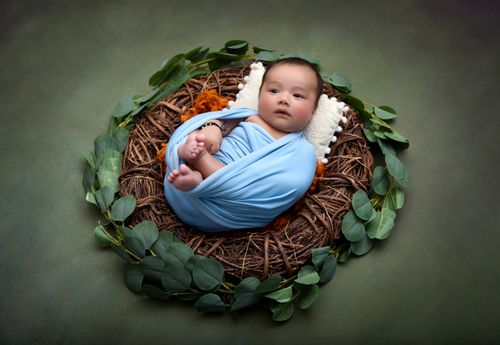 Free Cute baby wrapped in blue blanket, lying in a nest surrounded by leaves. Stock Photo