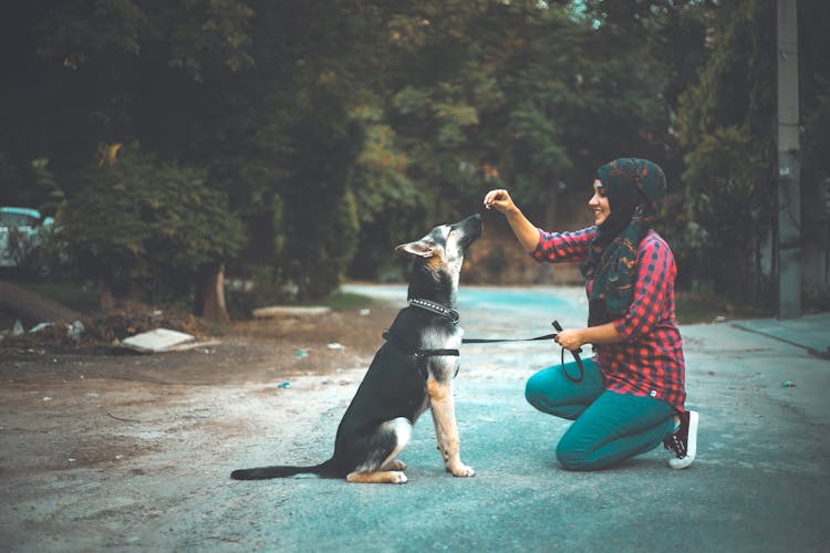 Woman Feeding A Dog