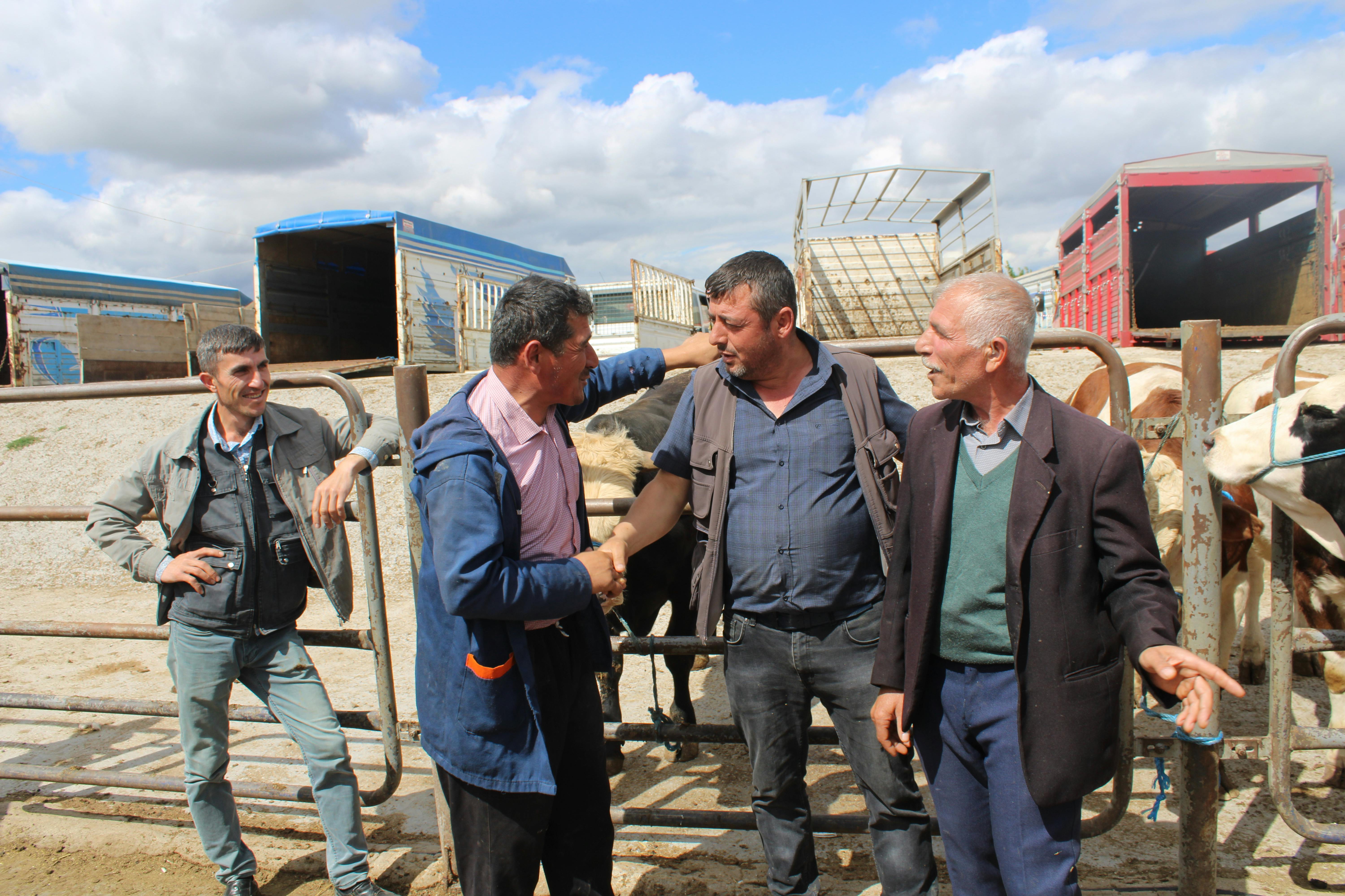 Will animals bother you in a tent?