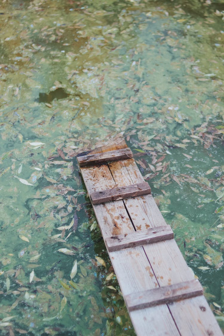 Broken Wooden Footbridge In Water