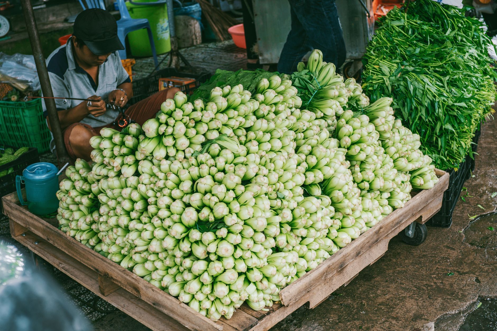 Seasonal Shift Brings Fresh Influx Of Local Produce To Regional Food Networks
