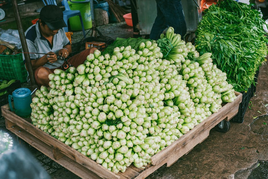 Farmer's Dog vs Ollie: Daily Cost Showdown A vibrant outdoor market stall with an abundance of fresh vegetables, showcasing local agriculture.
