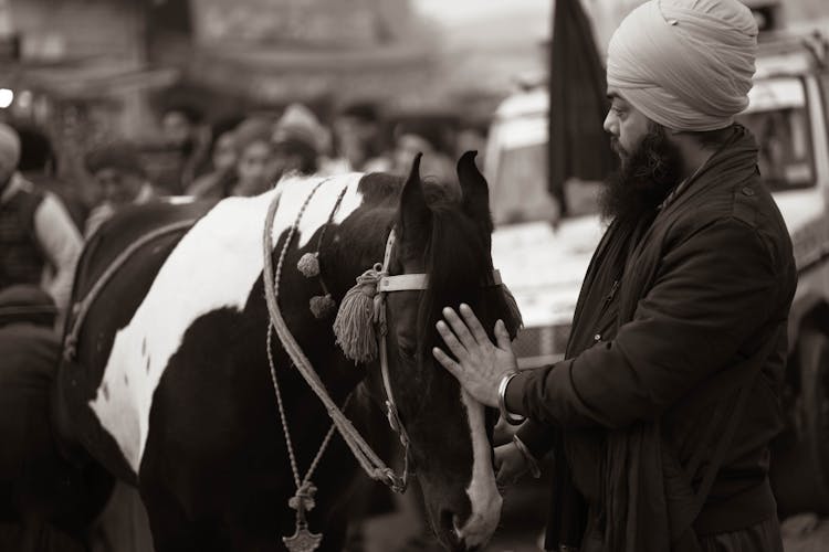 Man Petting A Horse