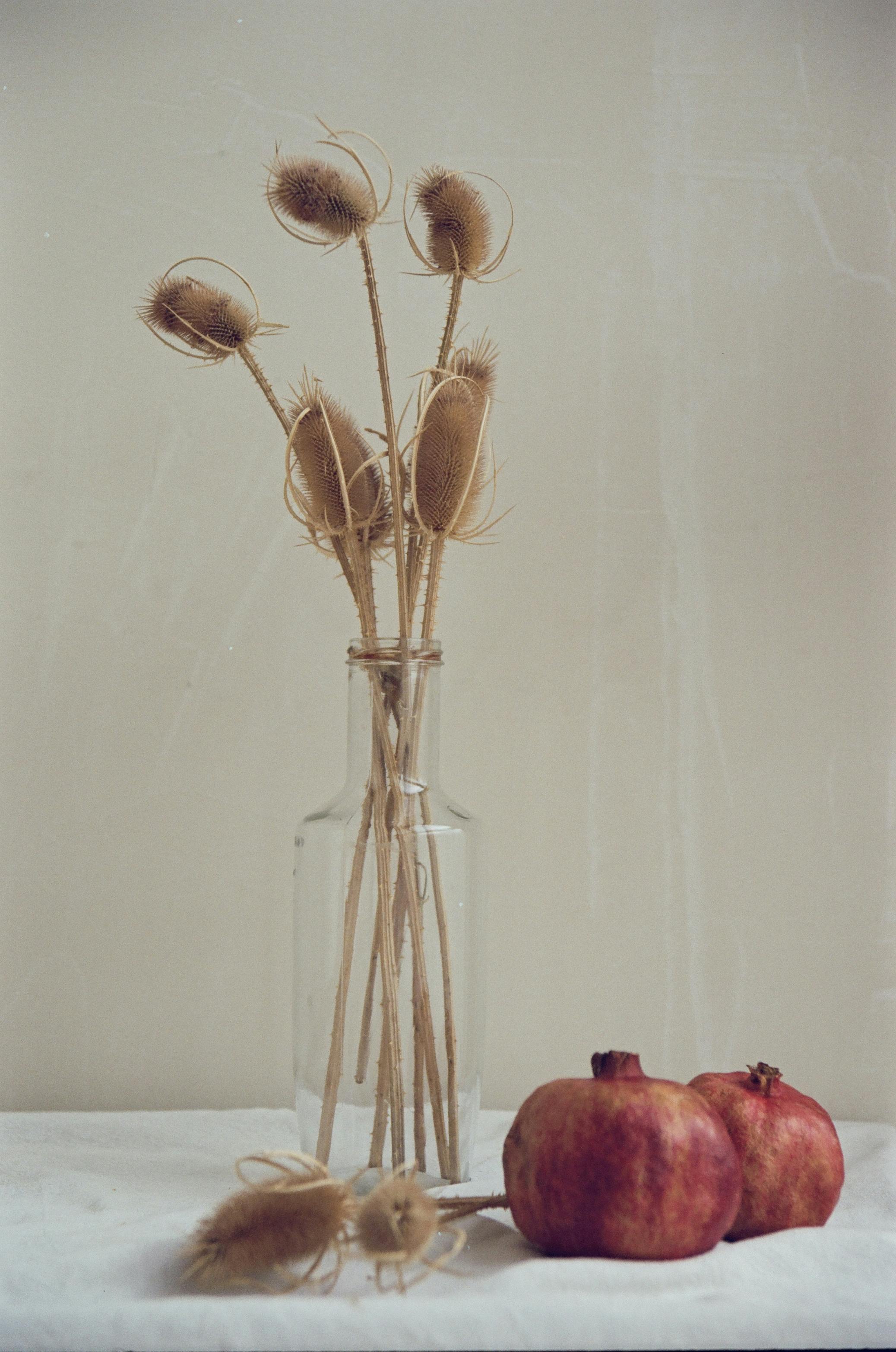 What is the unhealthiest fruit?