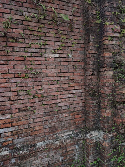 Free Brown Brick Wall With Green Moss Stock Photo