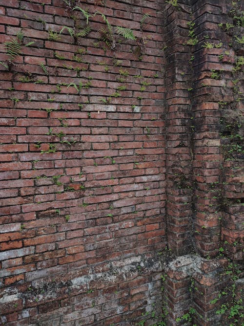 Foto profissional grátis de áspero, estrutura, ladrilhos