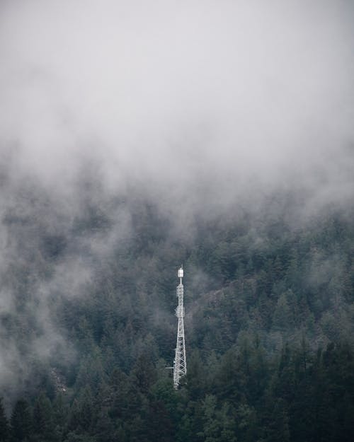 Tower in the Middle of Trees on a Foggy Mountain