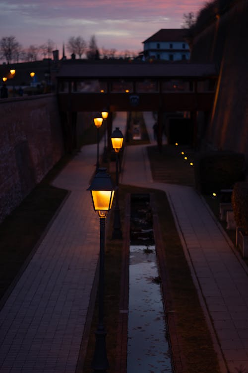 Lighted Lamp Posts in the Evening