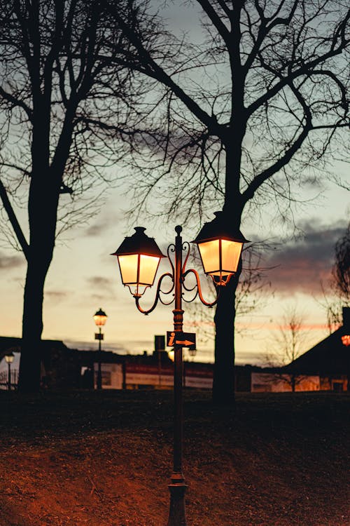 Black Street Lamp Near Bare Trees during Sunset