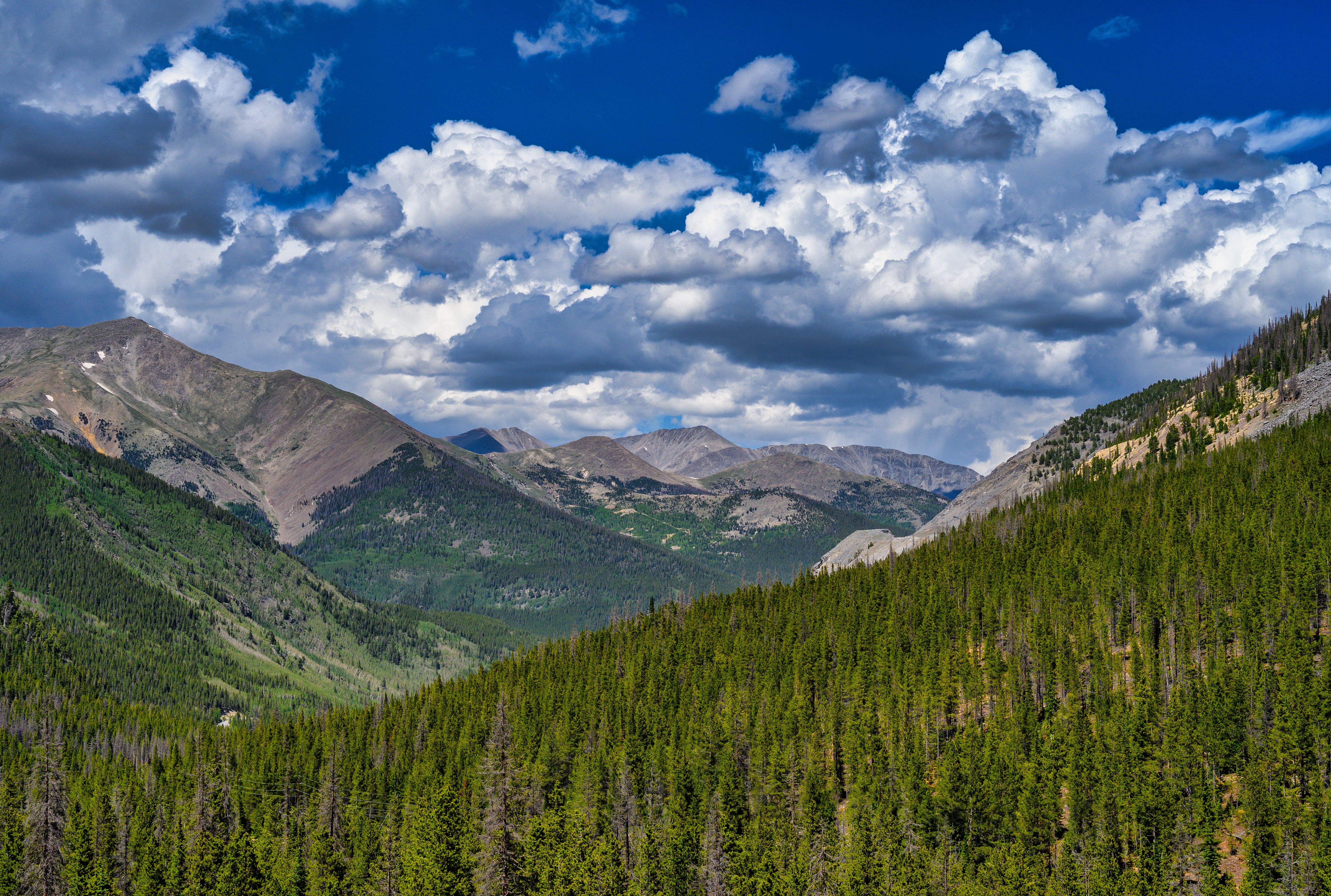 A Green Trees on Mountain Under the White Clouds and Blue Sky · Free ...