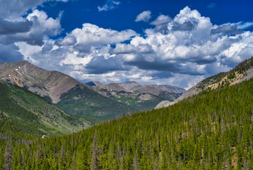 A Green Trees on Mountain Under the White Clouds and Blue Sky