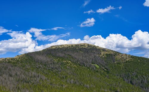 Free Lush green mountain captured under a brilliant blue sky with fluffy clouds. Stock Photo