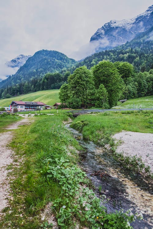 Free stock photo of cabin, clouds, forest