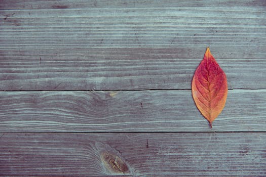 Orange and Red Leaf in Brown Wood Plank