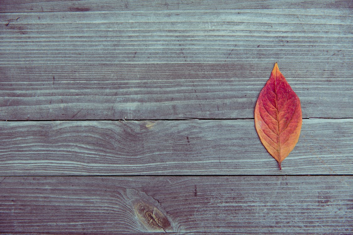 Brown Leaf on Brown Wooden Surface