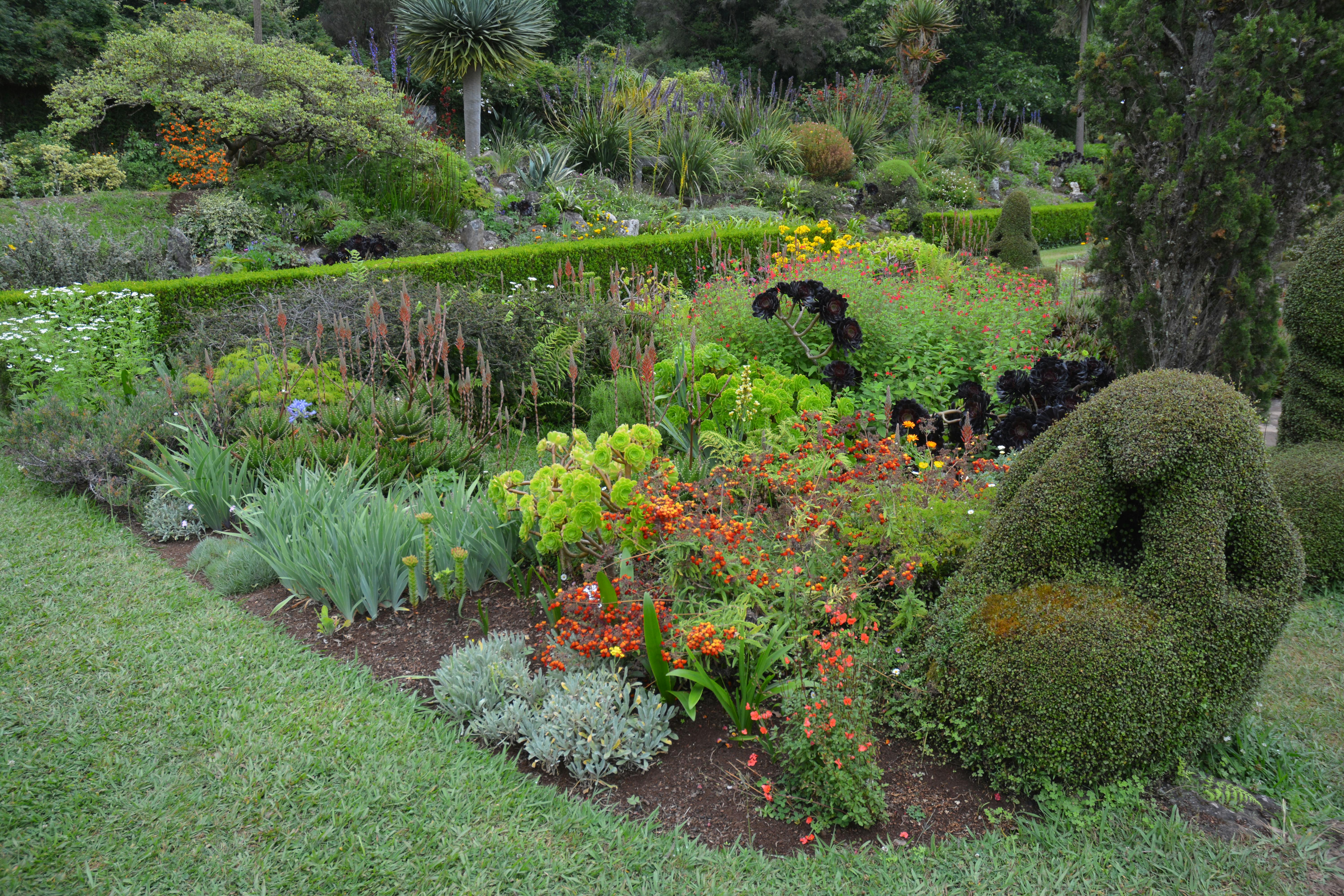 Free stock photo of botanic garden, flower garden