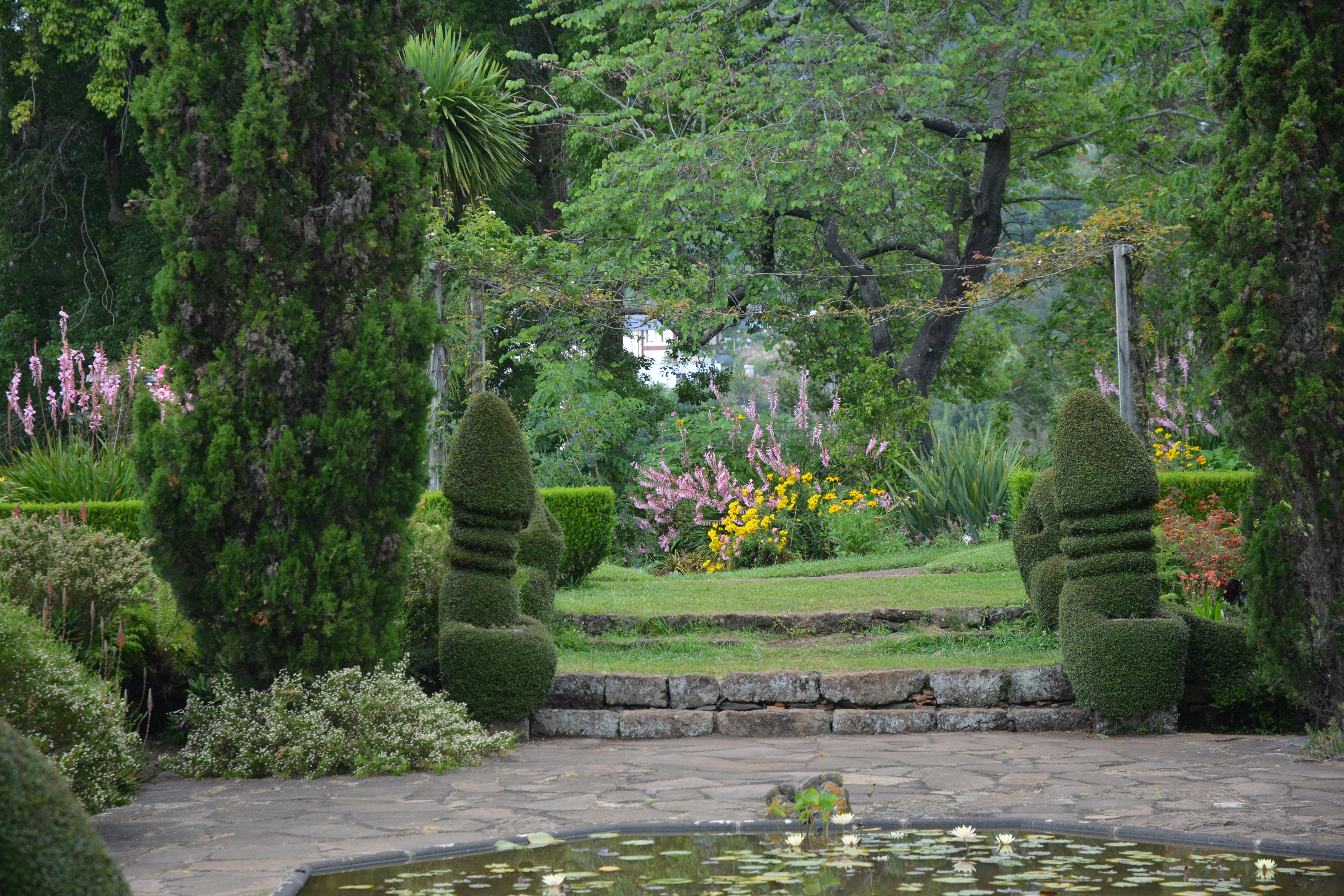 Free stock photo of botanic garden, flower garden