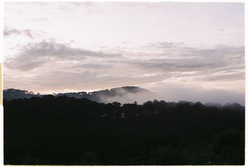 Free Serene misty landscape with rolling hills at twilight, enveloped in fog and lush greenery. Stock Photo