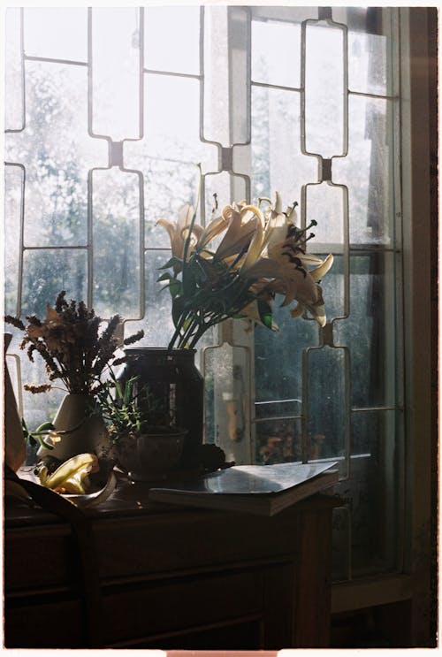 Foto profissional grátis de arranjo de flores, decoração, floração