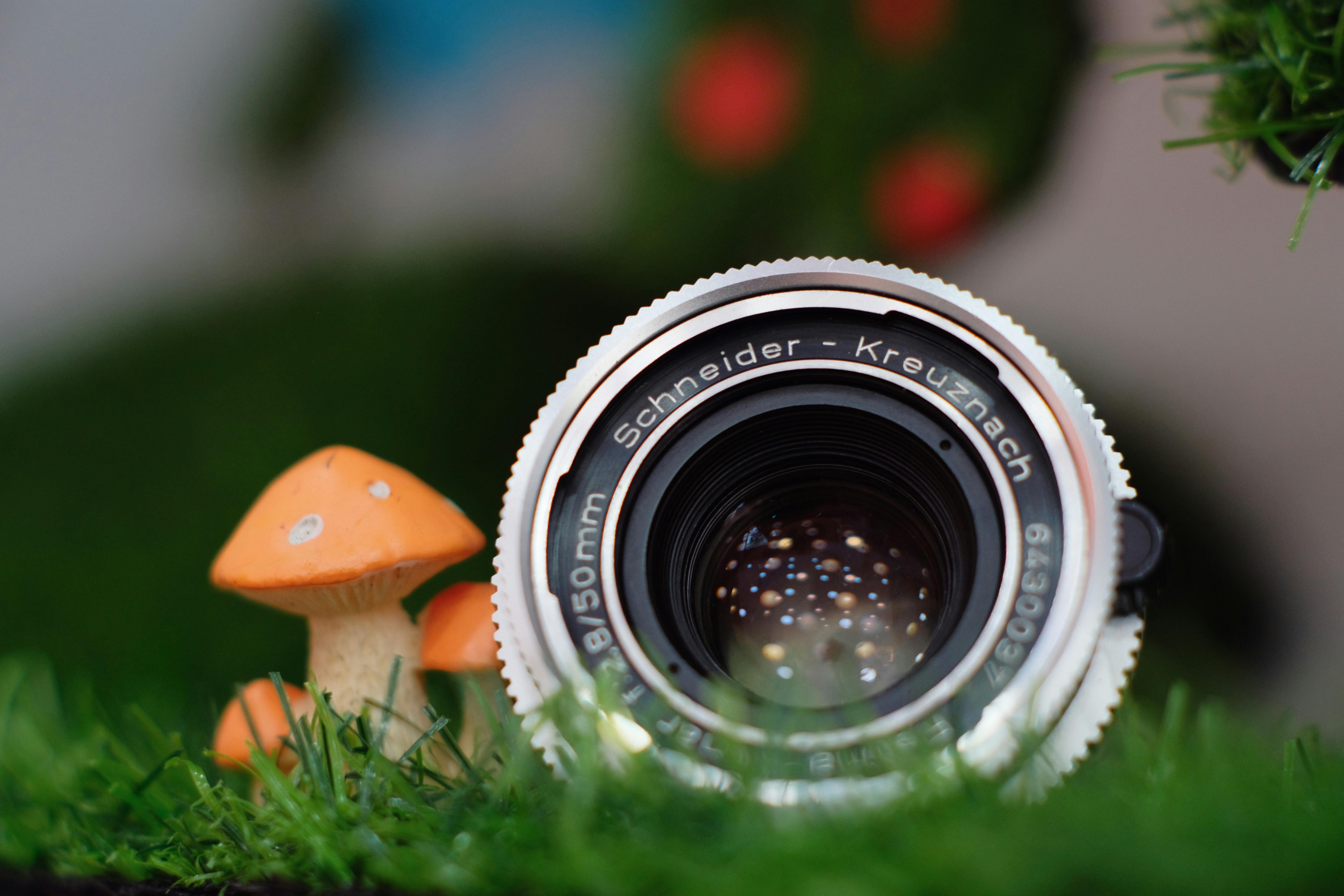 close up photo of a camera lens beside mushrooms