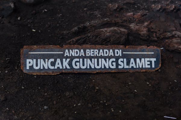 Ascensor interior lujo