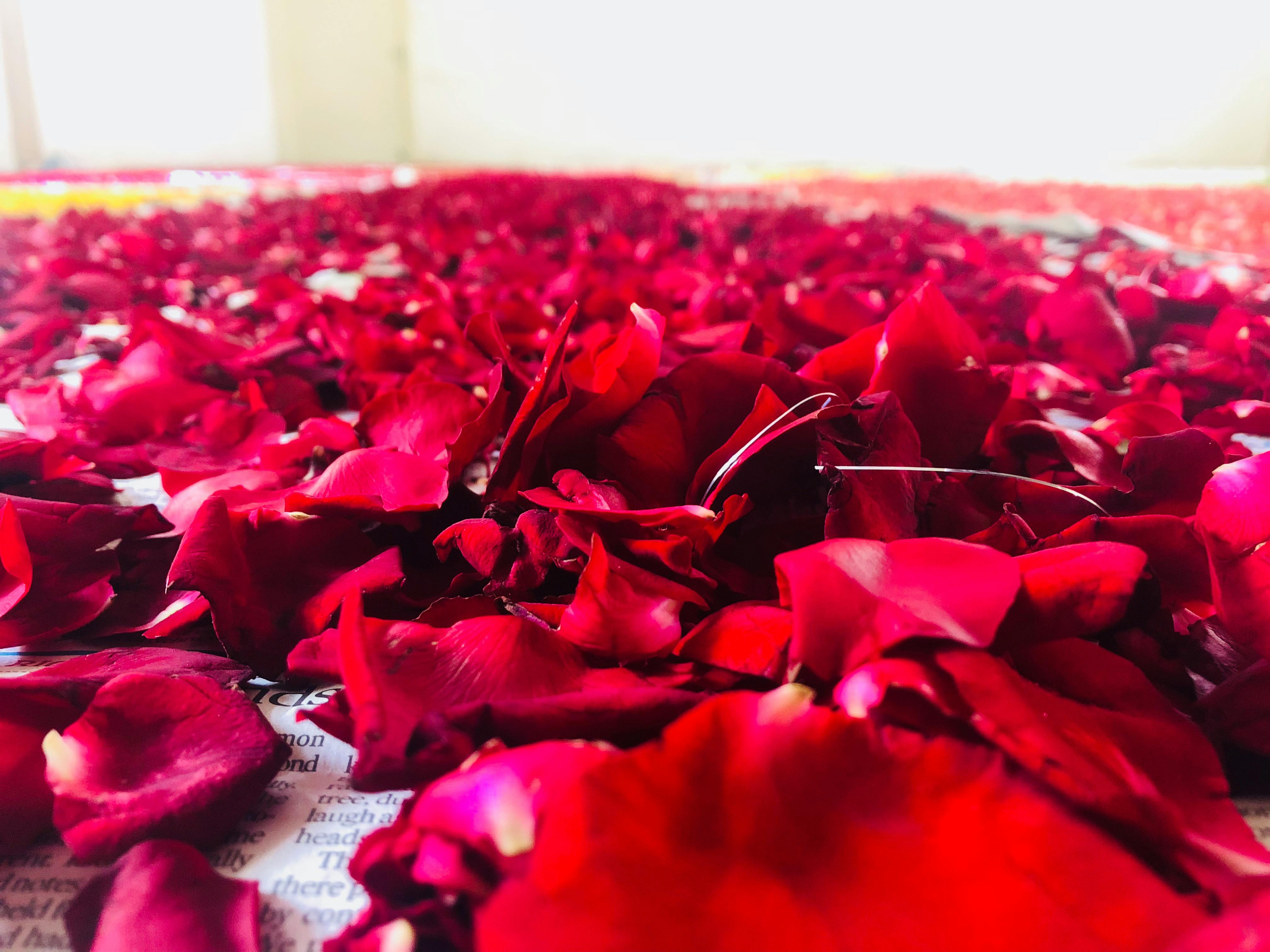 パスポートと航空券を持つ手、旅行の安全対策の重要性