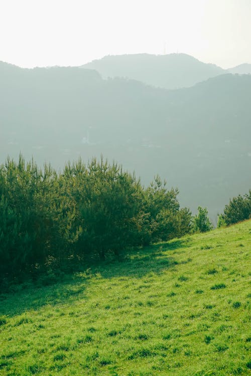 açık hava, çim, dağ manzarası içeren Ücretsiz stok fotoğraf