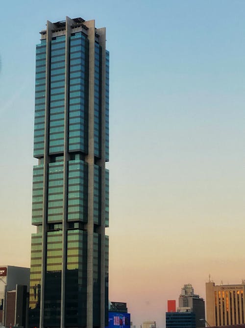 Blue and White High Rise Building