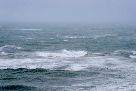Wave on Sea Shore