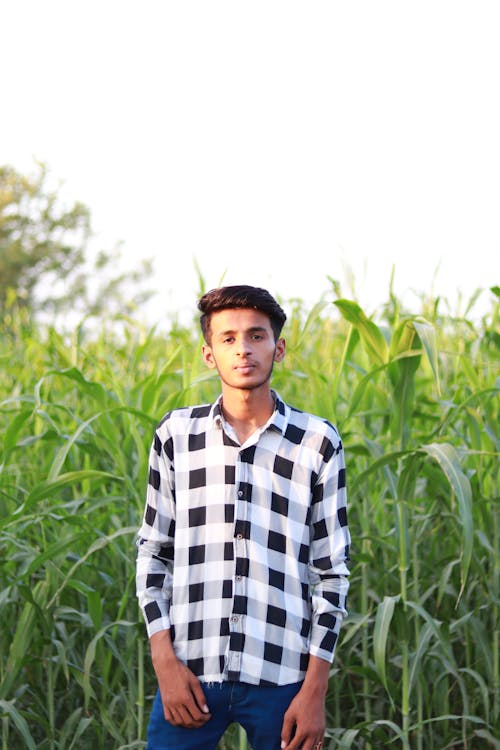 Young Man in a Plaid Shirt in a Corn Field