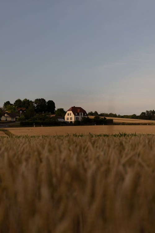 White and Brown House in the Middle of a Farmland