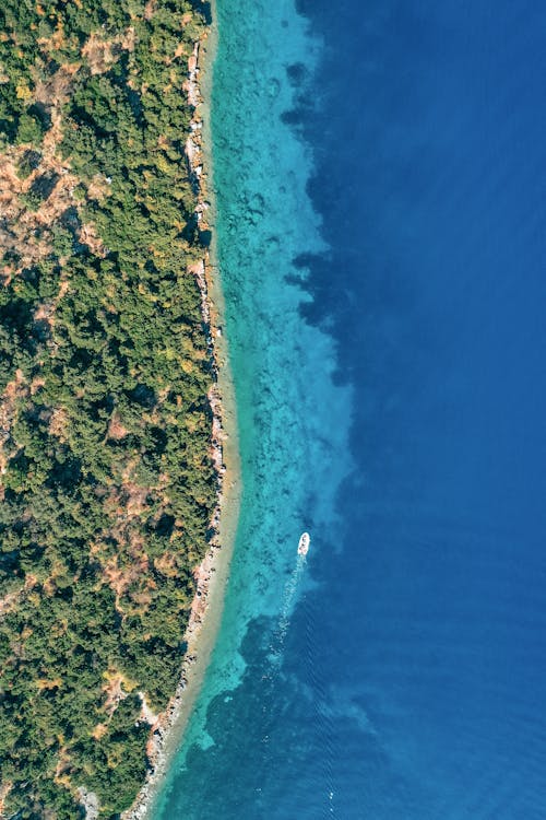Drone Shot of Coastline and Blue Sea