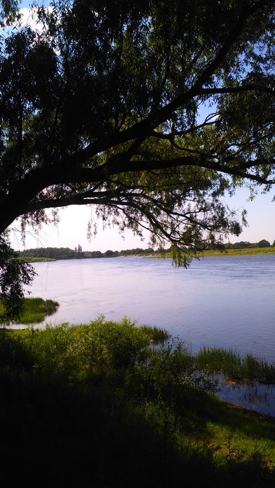 View From The Riverbank Photos, Download The BEST Free View From The ...
