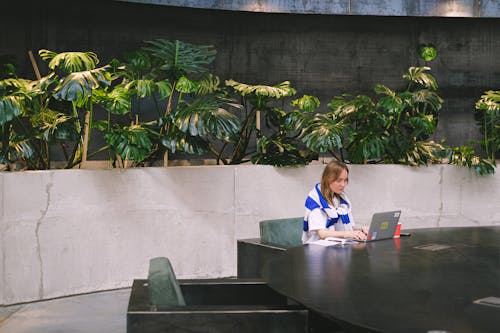 Free Woman working on a laptop in a modern indoor setting with lush greenery and sleek furniture. Stock Photo