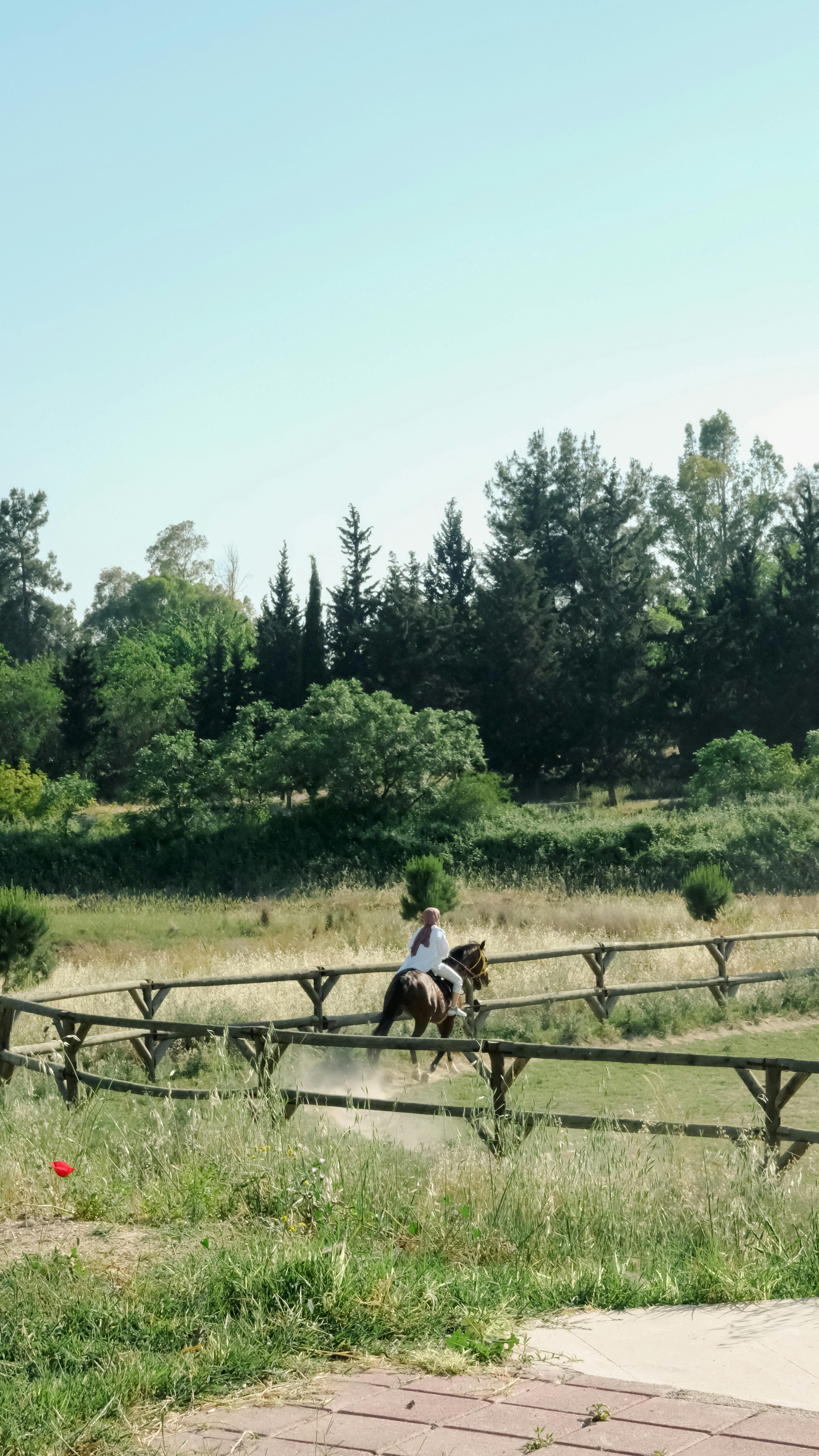 How do I calculate my horse winnings?